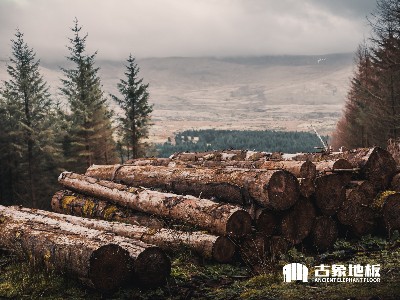 木地板廠家發(fā)展，既要經濟又要生態(tài)