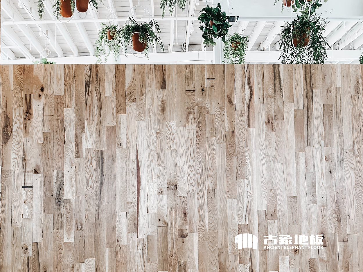 強(qiáng)化地板上墻原來這么美