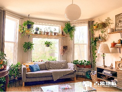 木地板加盟店鋪如何選址