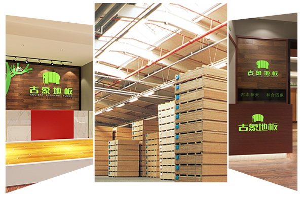 自有工廠，創(chuàng)新研發(fā)