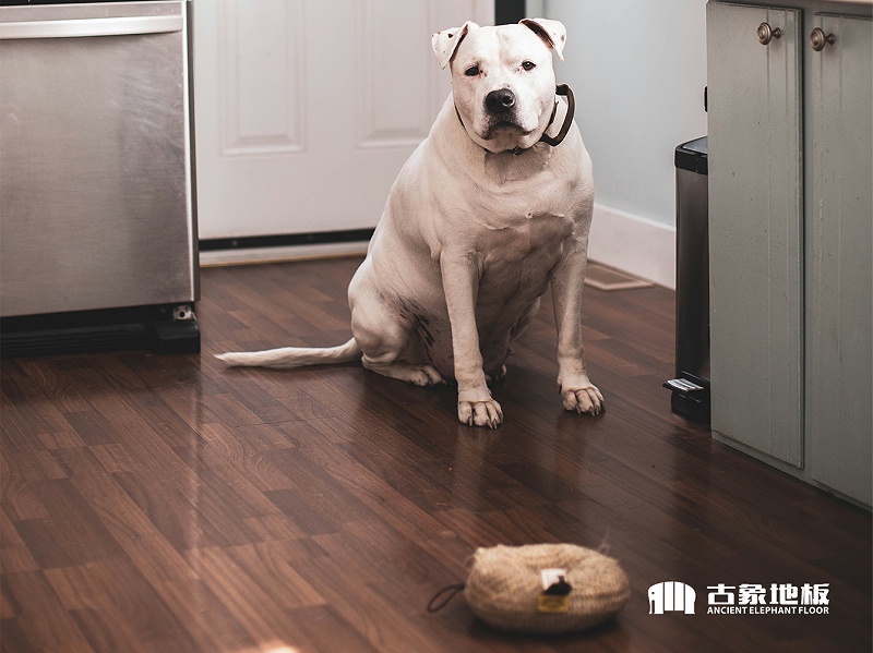 強化地板耐磨轉(zhuǎn)數(shù)