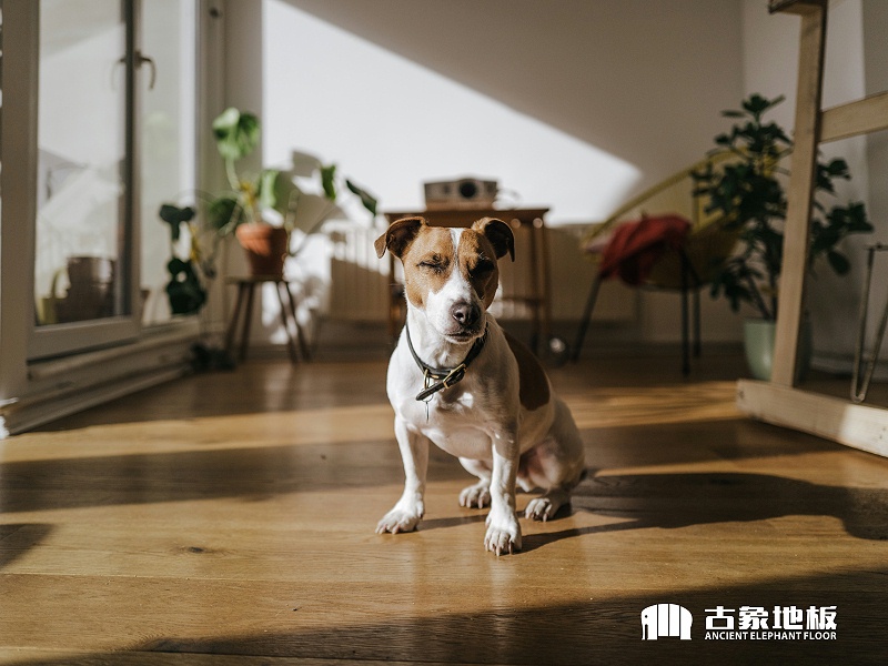 無障礙設(shè)計(jì)讓老人住的舒適