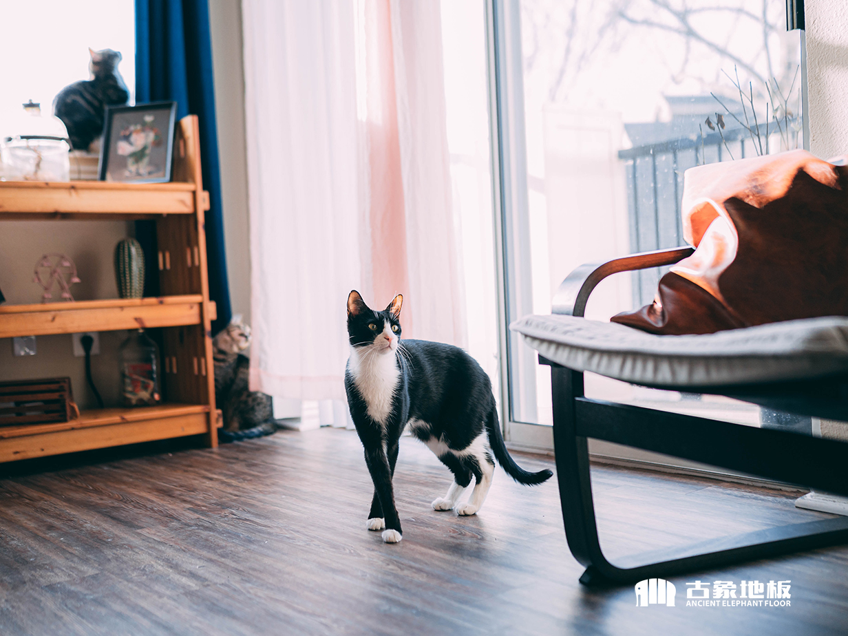 如何根據(jù)空間采光選擇強(qiáng)化地板