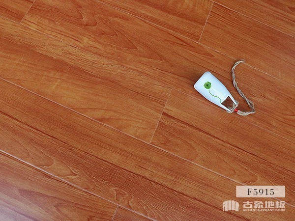 古象強(qiáng)化地板·秋色清榆-F5915 強(qiáng)化地板