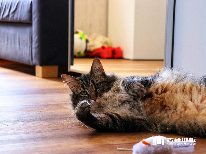 強(qiáng)化地板色差