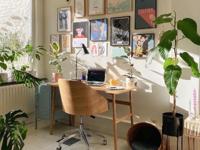 實(shí)木地板為什么越來(lái)越受歡迎